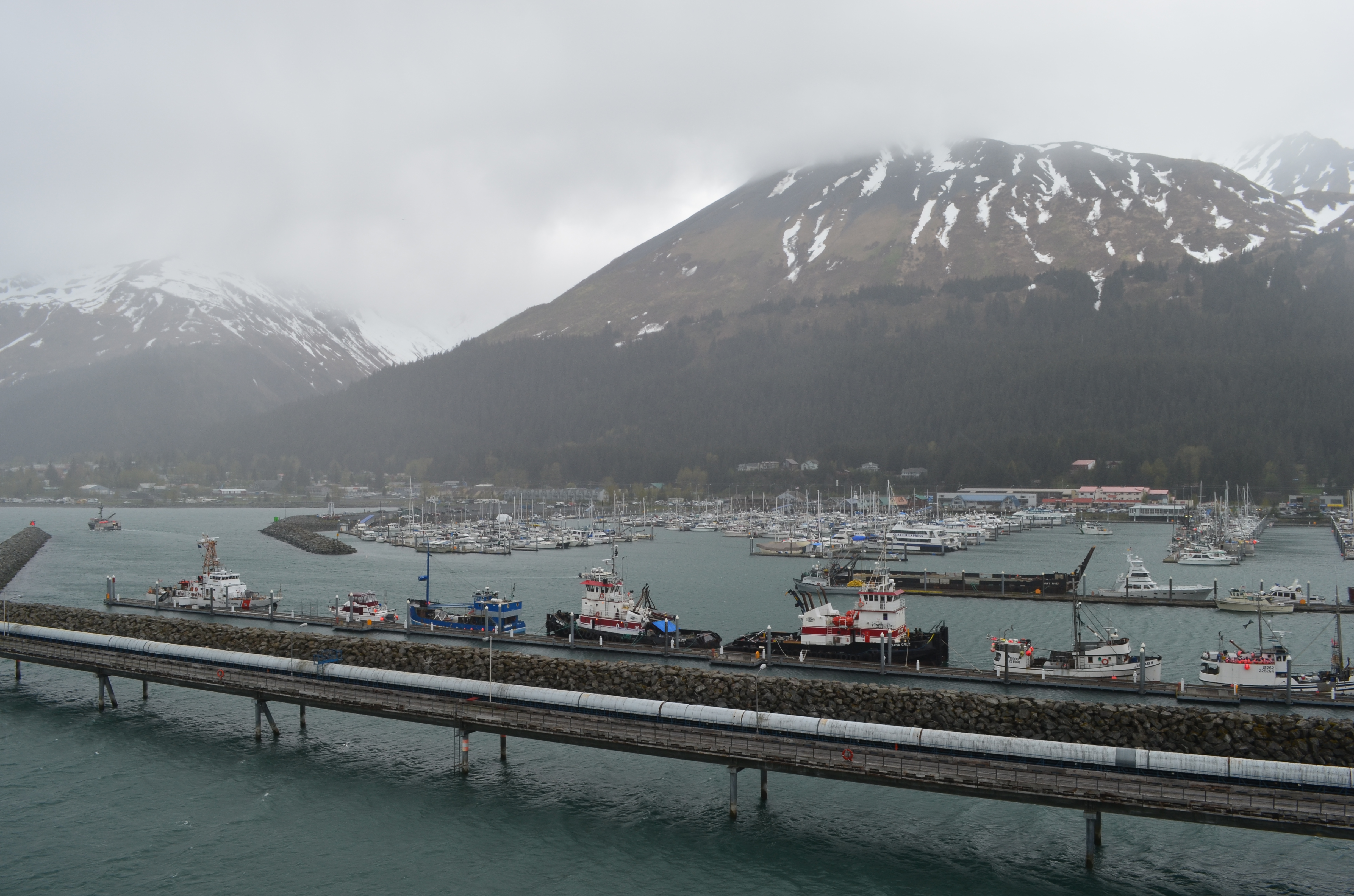 ./2017/08 - Alaska Cruise/06 - Seward/DSC_0622.JPG